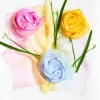 Sarah's Silks White Playsilks For Dyeing-Playsilk Dye Kit